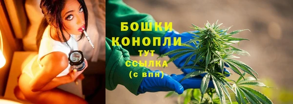 шишки Михайловка