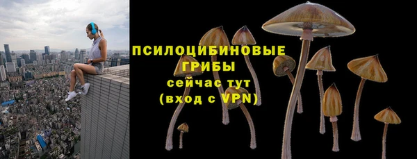 a pvp Абаза