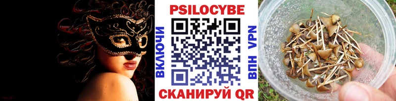 Псилоцибиновые грибы Psilocybine cubensis  KRAKEN ТОР  Нестеровская 